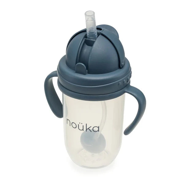 Weighted Straw Cup