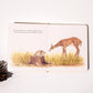 Our Little Adventures Box Set