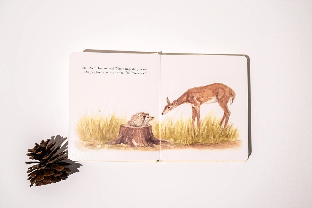 Our Little Adventures Box Set
