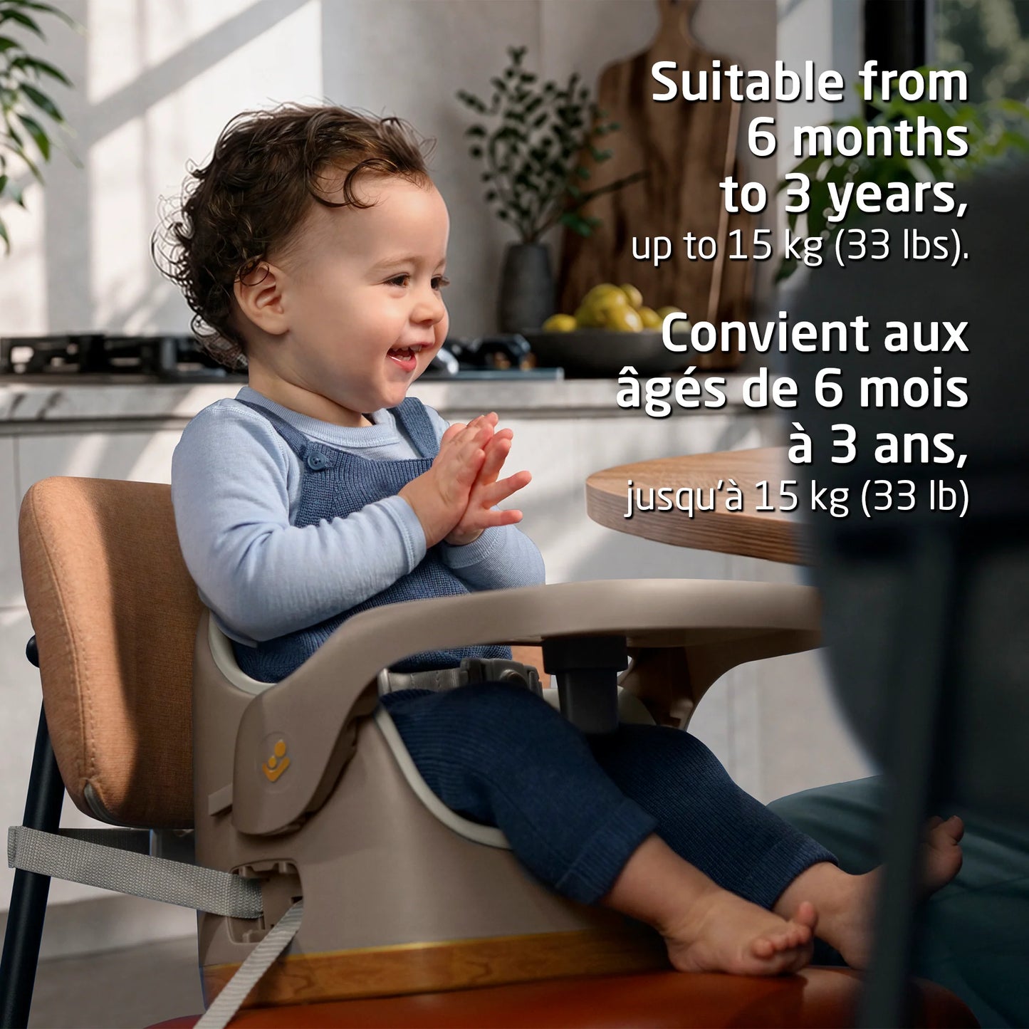 Jay Plus 3-in-1 Feeding Booster