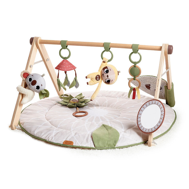 Boho Chic Luxe Developmental Gymini