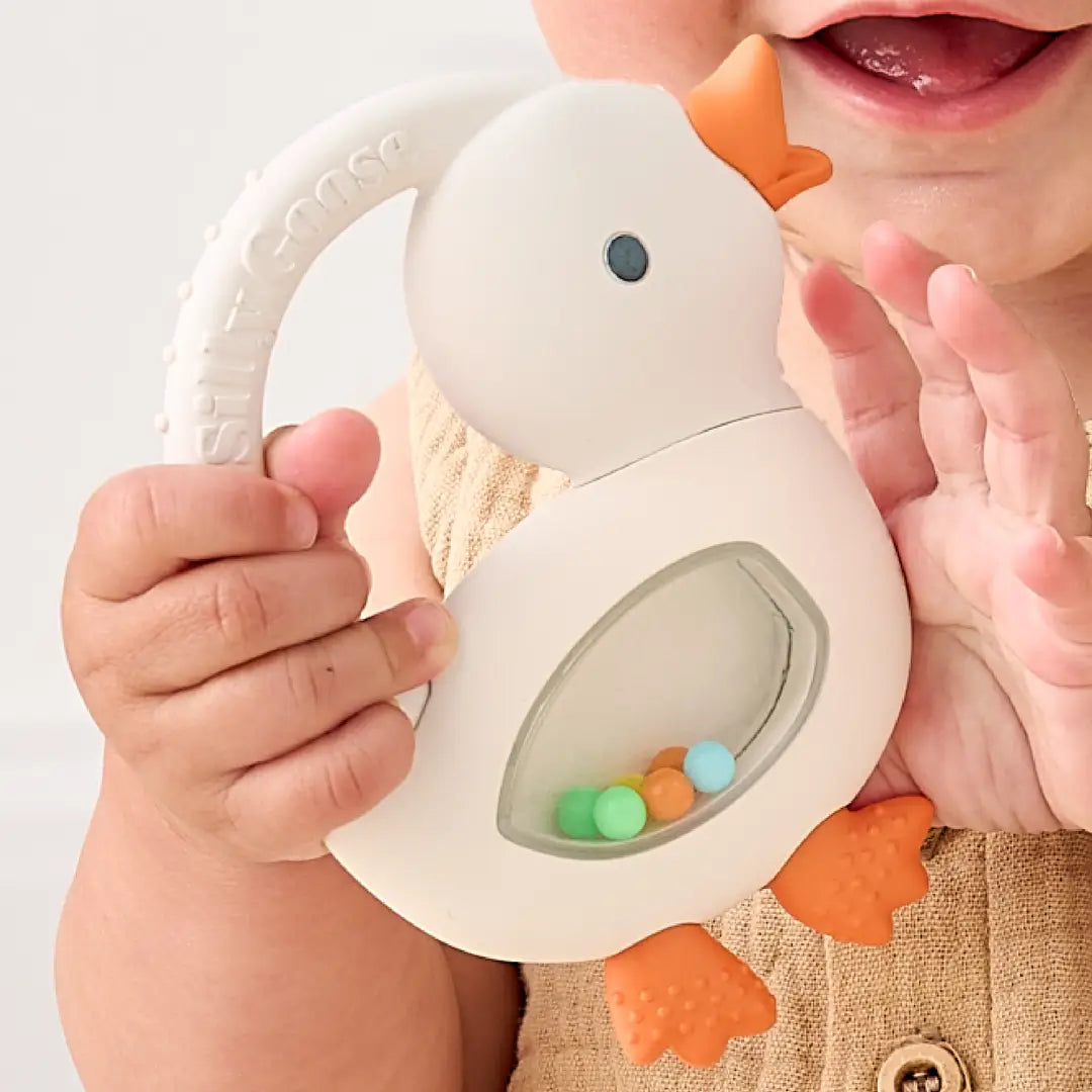 Bitzy Shake Teether with Rattle